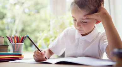 Какие предметы сдавать для поступления на учителя английского языка? Как поступить без экзаменов?